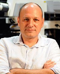 Anastas Popratiloff